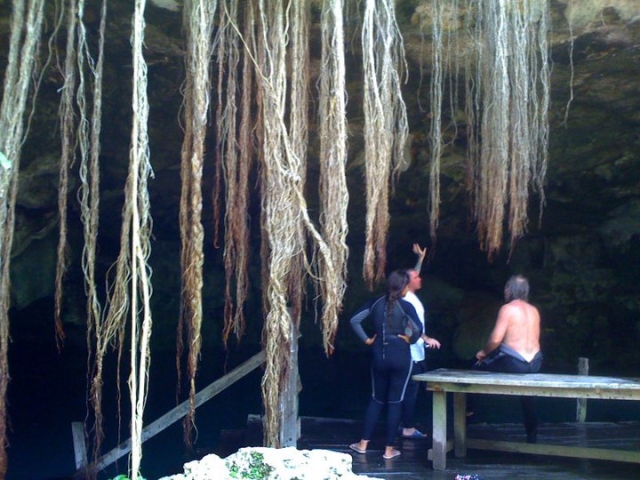 buce en cenotes